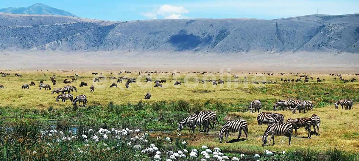 Ngorongoro Crater National Park: Facts, Features and More